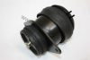 AUTOMEGA 1019902621H0A Engine Mounting
